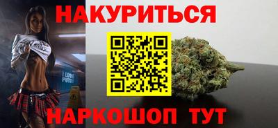 гидра Будённовск