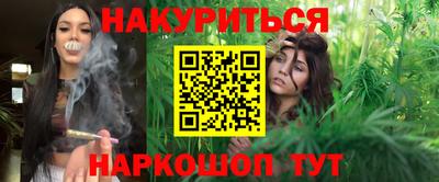 гидра Будённовск