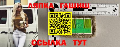 гидра Будённовск