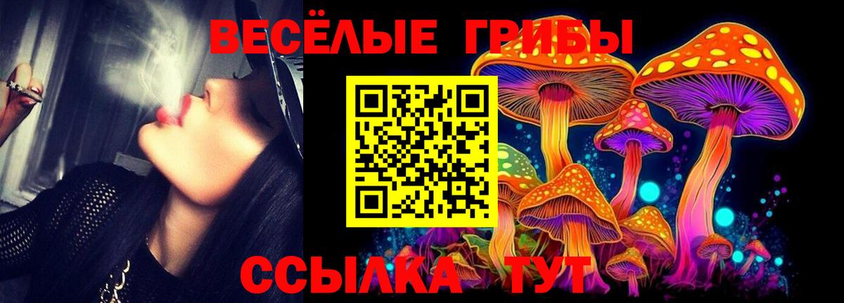 Галлюциногенные грибы Cubensis  Вход с VPN  Нерюнгри  Галлюциногенные грибы MAGIC MUSHROOMS 