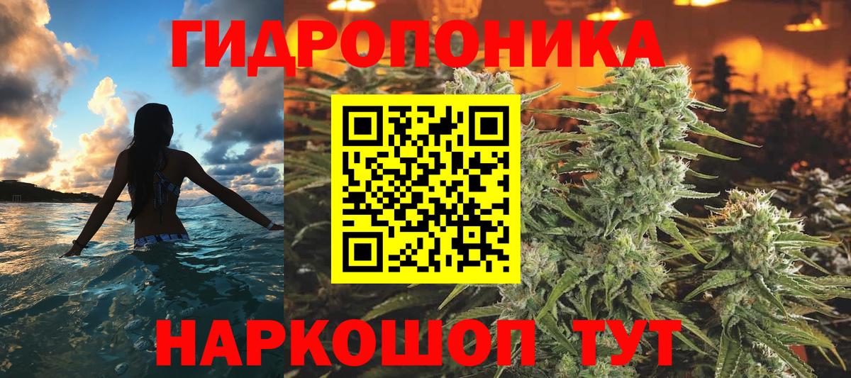 Марихуана Ganja  МАРИХУАНА планчик  Вход с VPN  Нерюнгри 